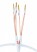 Supra Cables XL Annorum