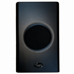 Procella Audio P1 hos Ljudkallarn.com
