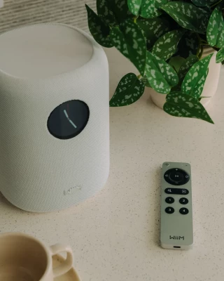 WiiM WIIM SOUND hos Ljudkallarn.com